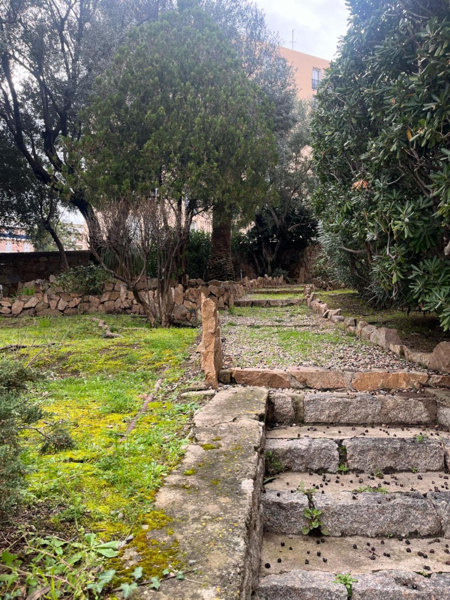 Appartement Douillet En Ville 阿雅克肖 外观 照片